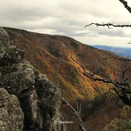 Grand Gite, Mas Favieres Notre-Dame-de-la-Rouvière