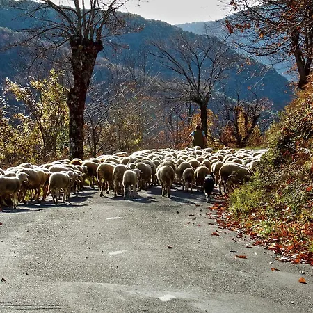 Σπίτι διακοπών Grand Gite, Mas Favieres
